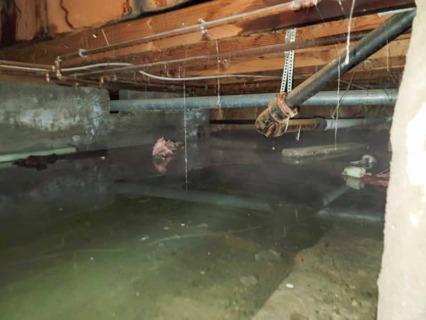 Best 24/7 water damage repair  in Sudden Valley, WA