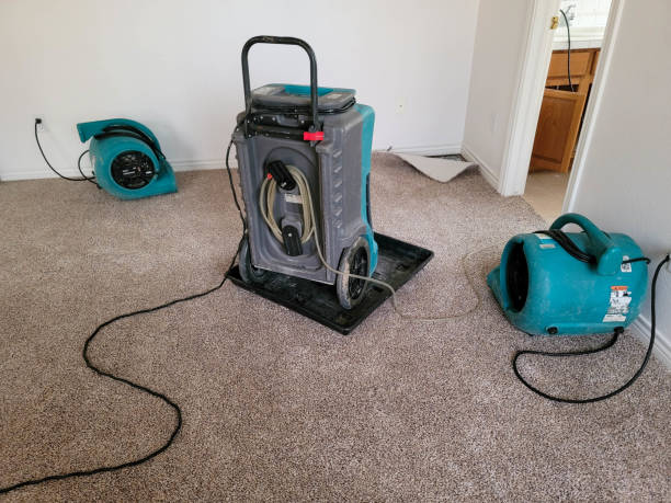 Best Sewage cleanup and water damage restoration  in Sudden Valley, WA