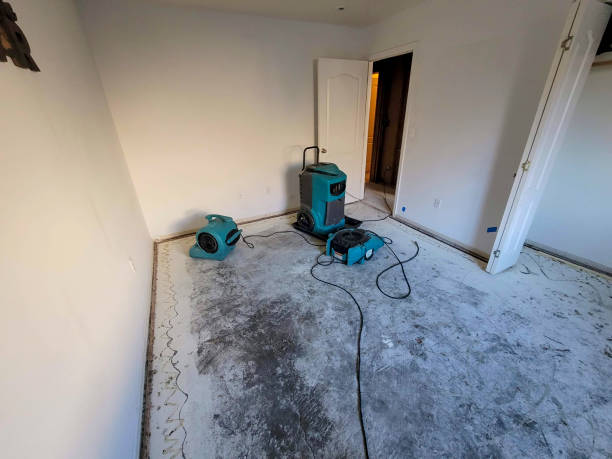  Sudden Valley, WA Water damage restoration Pros