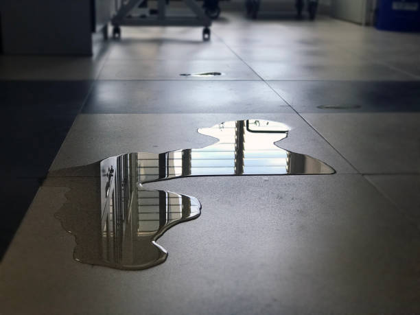 Best Commercial water damage restoration  in Sudden Valley, WA