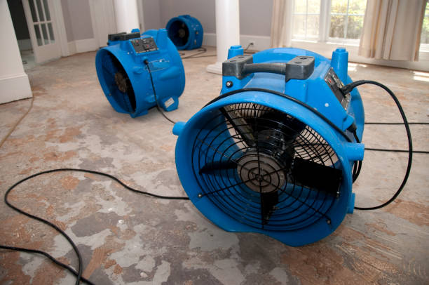 Best Flood damage cleanup  in Sudden Valley, WA
