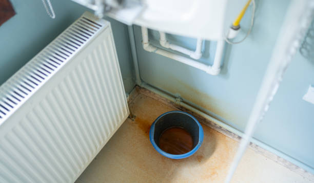 Best Water damage restoration company  in Sudden Valley, WA