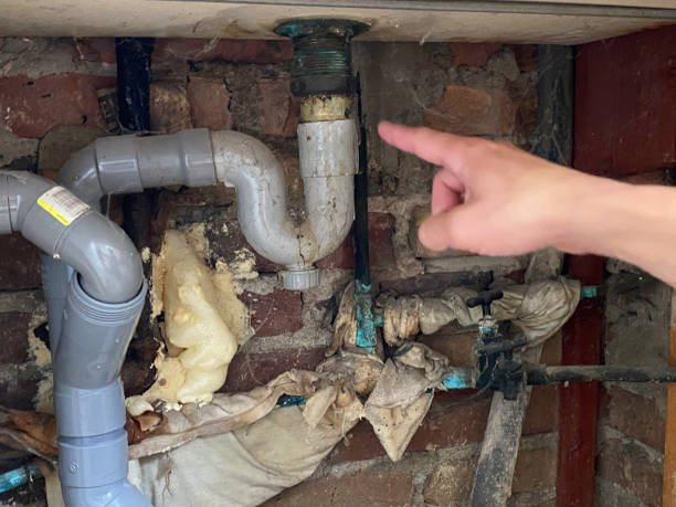 Best Water damage contractors near me  in Sudden Valley, WA