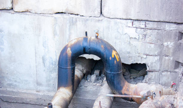 Best Mold removal after water damage  in Sudden Valley, WA