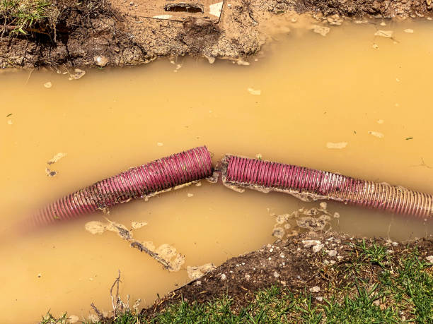 Best Residential water damage restoration  in Sudden Valley, WA