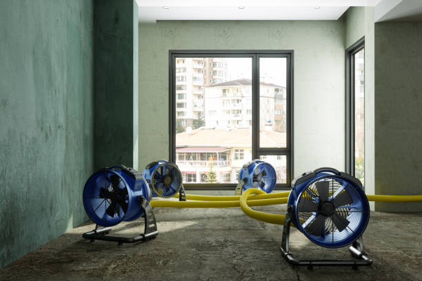Best Emergency water damage restoration  in Sudden Valley, WA
